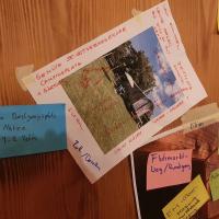 galleryImage