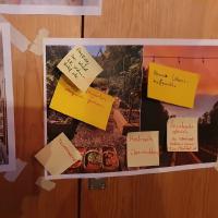 galleryImage